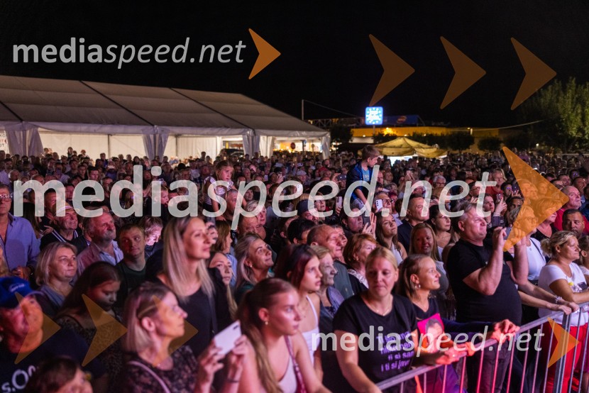 Bogračfest 2026, Festival Vinarium