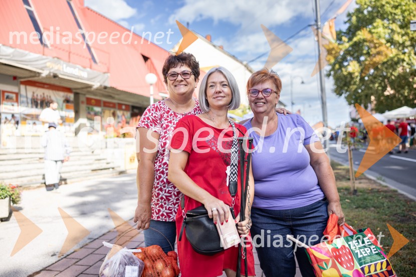 Bogračfest 2026, Festival Vinarium