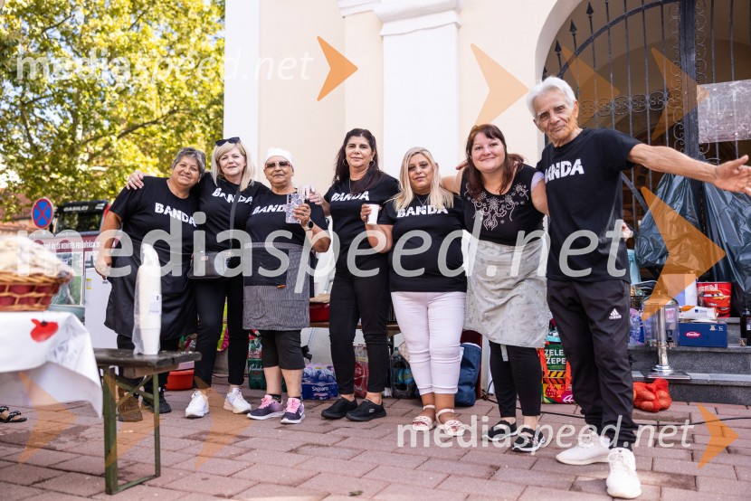 Bogračfest 2026, Festival Vinarium
