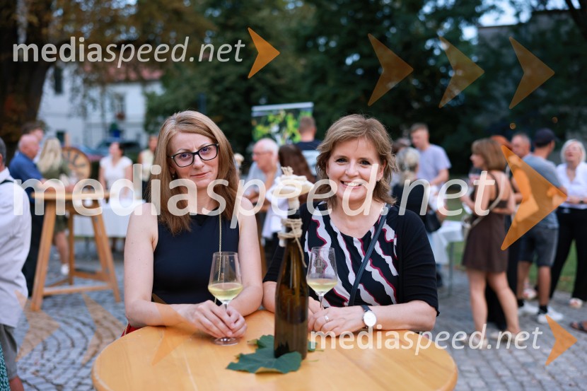 Večer lendavskih vin in koncert kvarteta Duh, Festival Vinarium