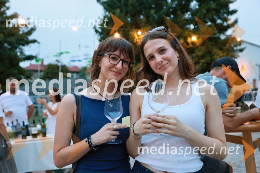 Večer lendavskih vin in koncert kvarteta Duh, Festival Vinarium