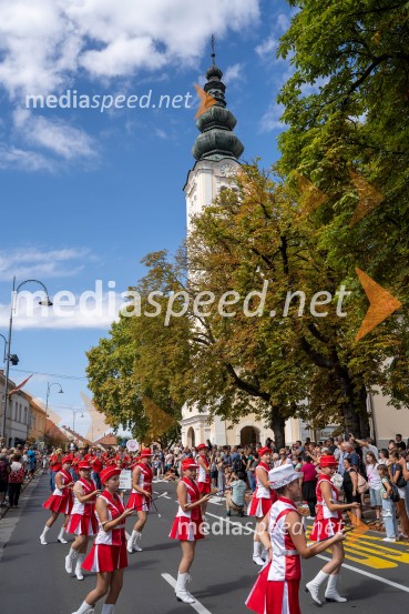 47. Lendavska trgatev, Festival Vinarium