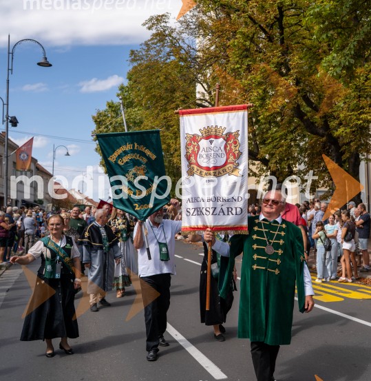 47. Lendavska trgatev, Festival Vinarium