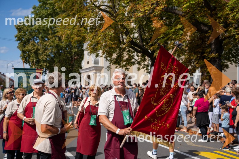 47. Lendavska trgatev, Festival Vinarium