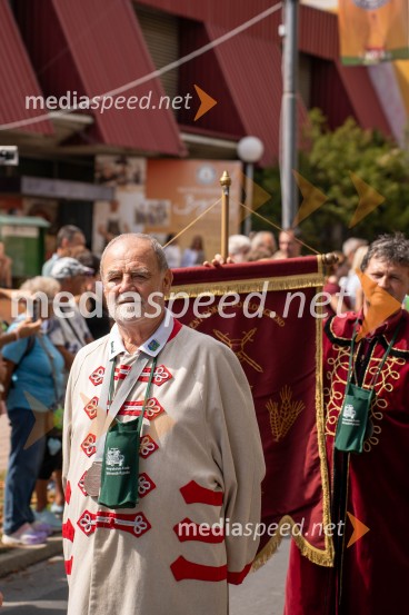 47. Lendavska trgatev, Festival Vinarium