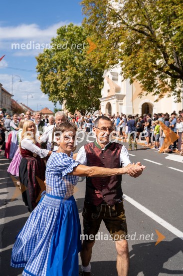 47. Lendavska trgatev, Festival Vinarium
