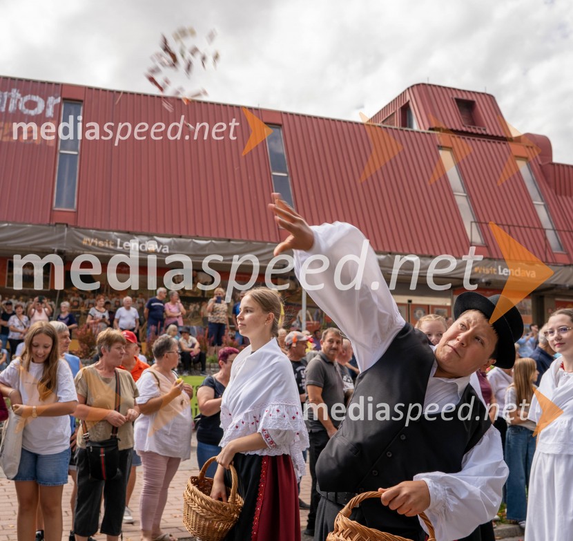 47. Lendavska trgatev, Festival Vinarium