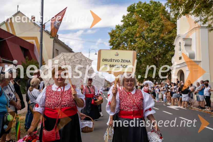47. Lendavska trgatev, Festival Vinarium