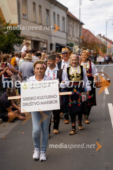 47. Lendavska trgatev, Festival Vinarium