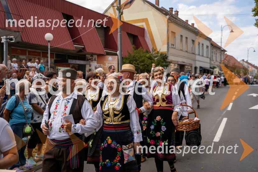 47. Lendavska trgatev, Festival Vinarium