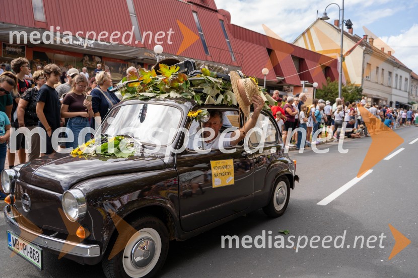 47. Lendavska trgatev, Festival Vinarium