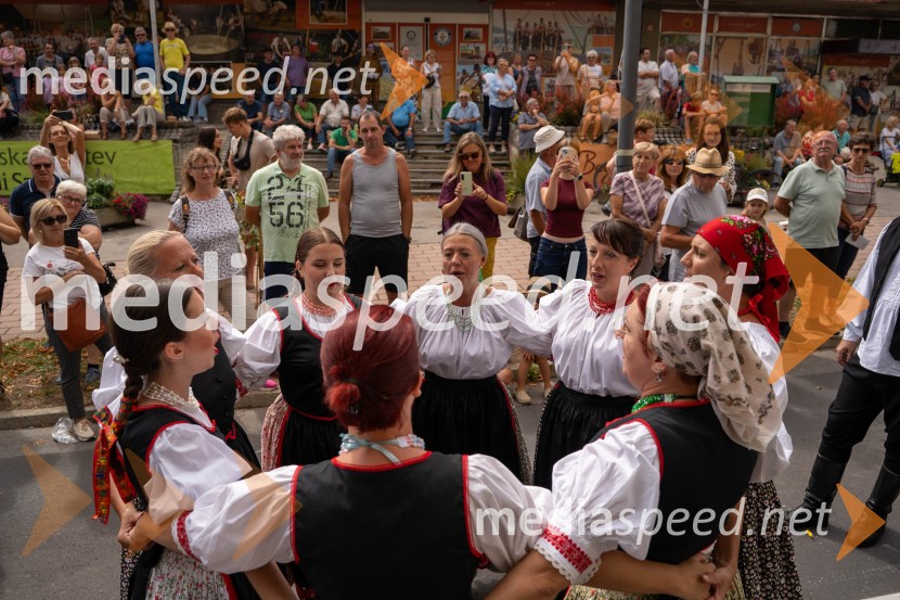 47. Lendavska trgatev, Festival Vinarium