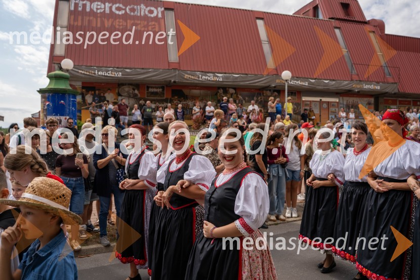 47. Lendavska trgatev, Festival Vinarium