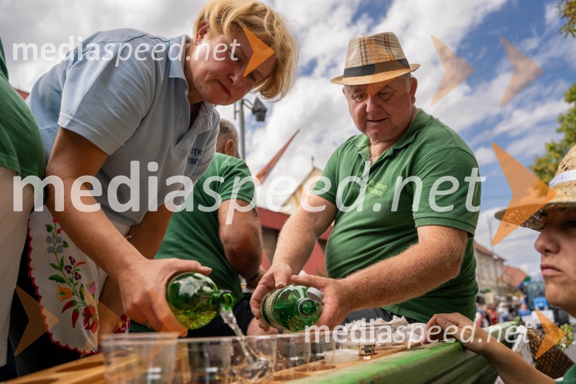 47. Lendavska trgatev, Festival Vinarium