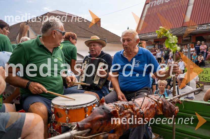 47. Lendavska trgatev, Festival Vinarium