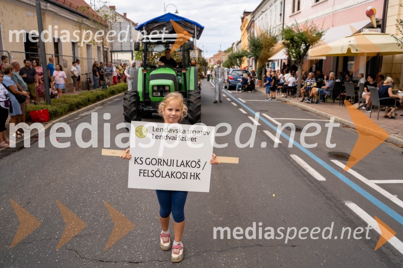 47. Lendavska trgatev, Festival Vinarium