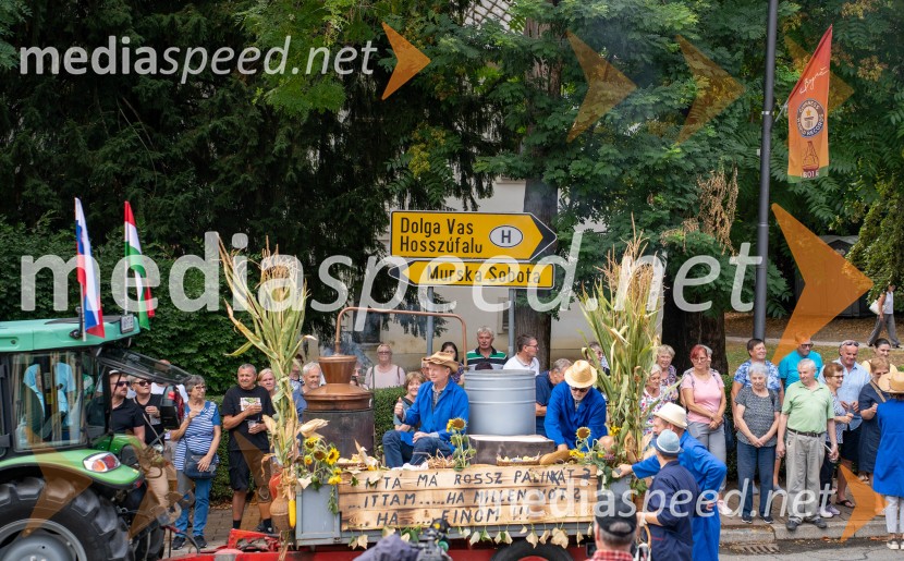 47. Lendavska trgatev, Festival Vinarium