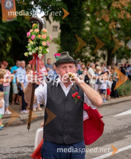 47. Lendavska trgatev, Festival Vinarium