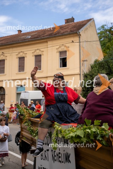 47. Lendavska trgatev, Festival Vinarium