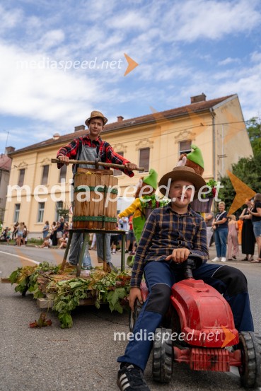 47. Lendavska trgatev, Festival Vinarium