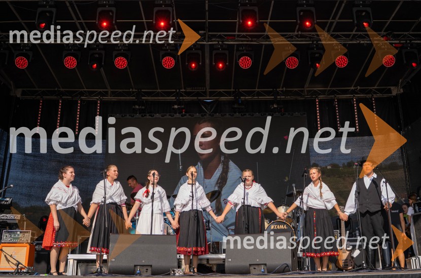 47. Lendavska trgatev, Festival Vinarium