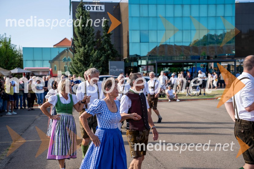 47. Lendavska trgatev, Festival Vinarium