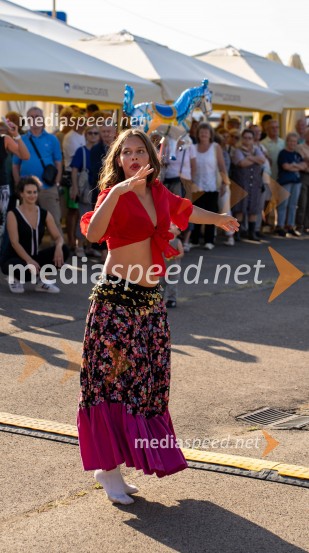 47. Lendavska trgatev, Festival Vinarium