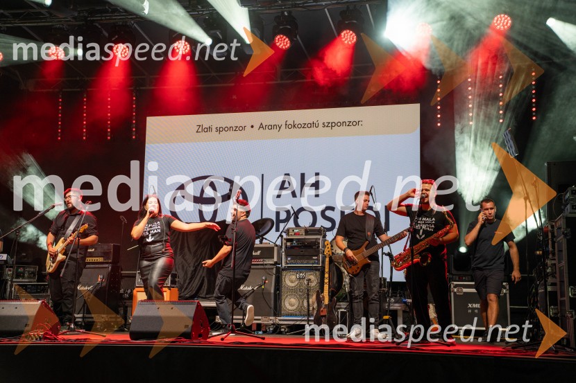 47. Lendavska trgatev, Festival Vinarium