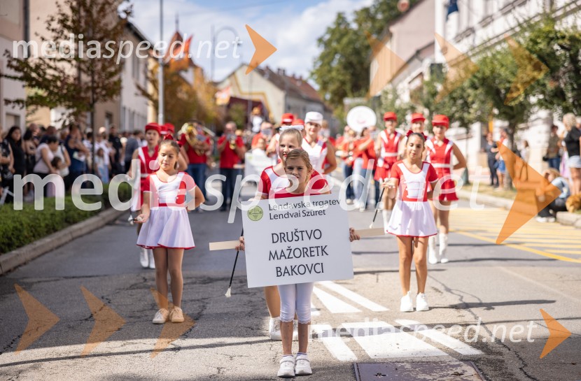 47. Lendavska trgatev, Festival Vinarium