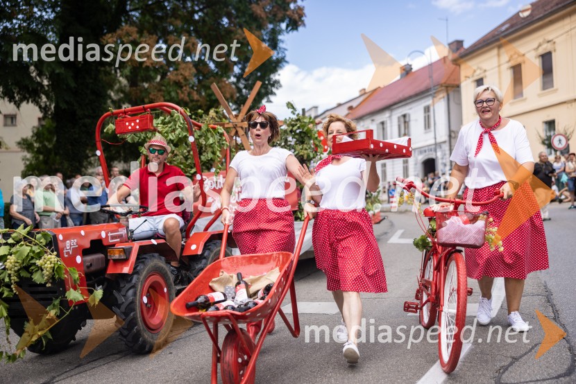 47. Lendavska trgatev, Festival Vinarium