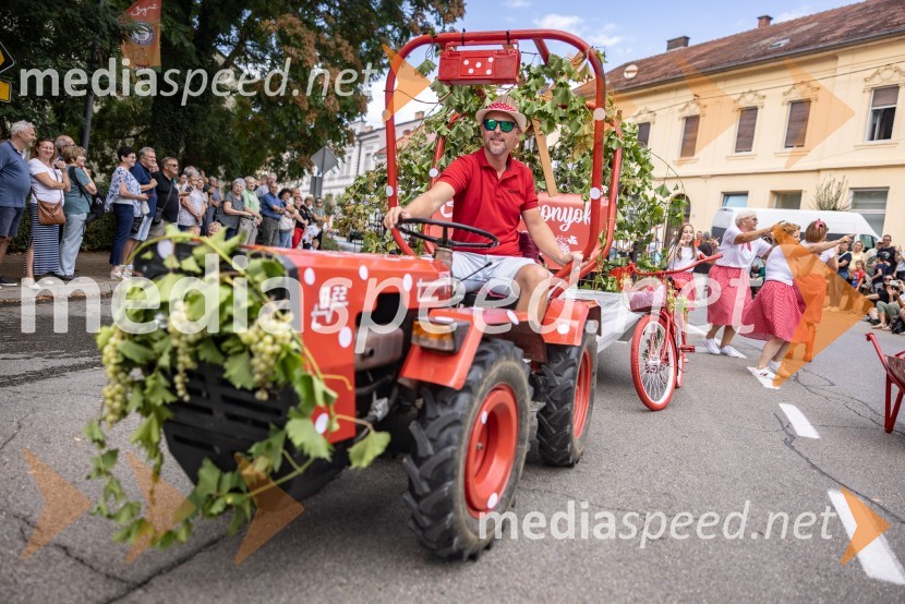 47. Lendavska trgatev, Festival Vinarium