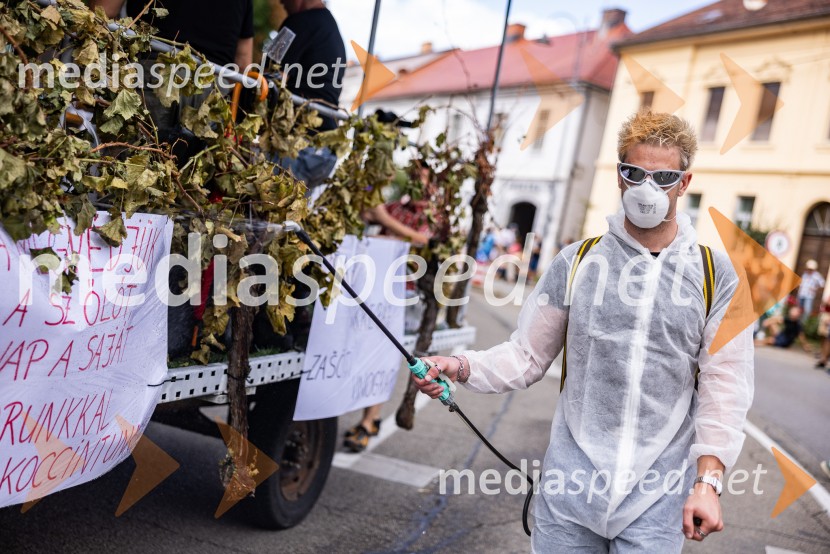47. Lendavska trgatev, Festival Vinarium