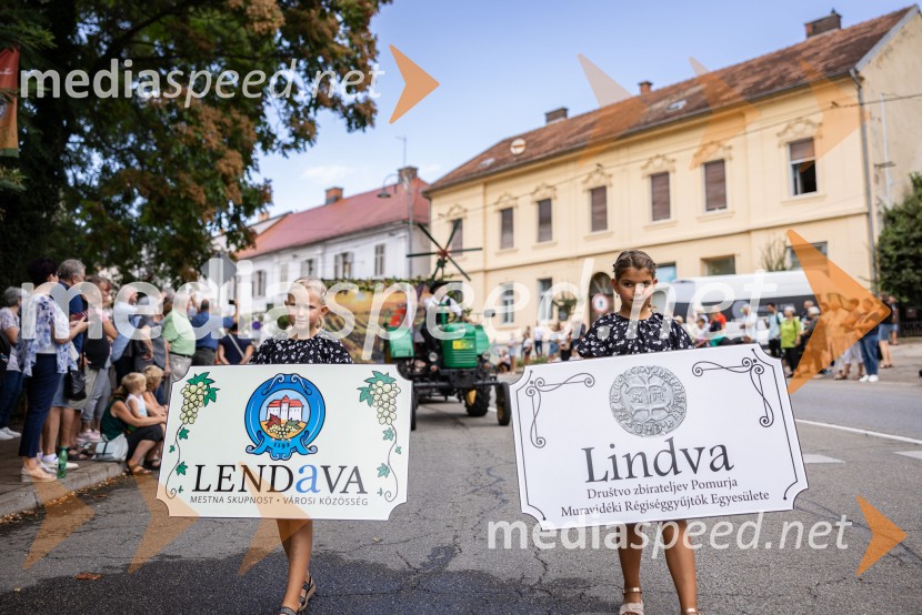 47. Lendavska trgatev, Festival Vinarium