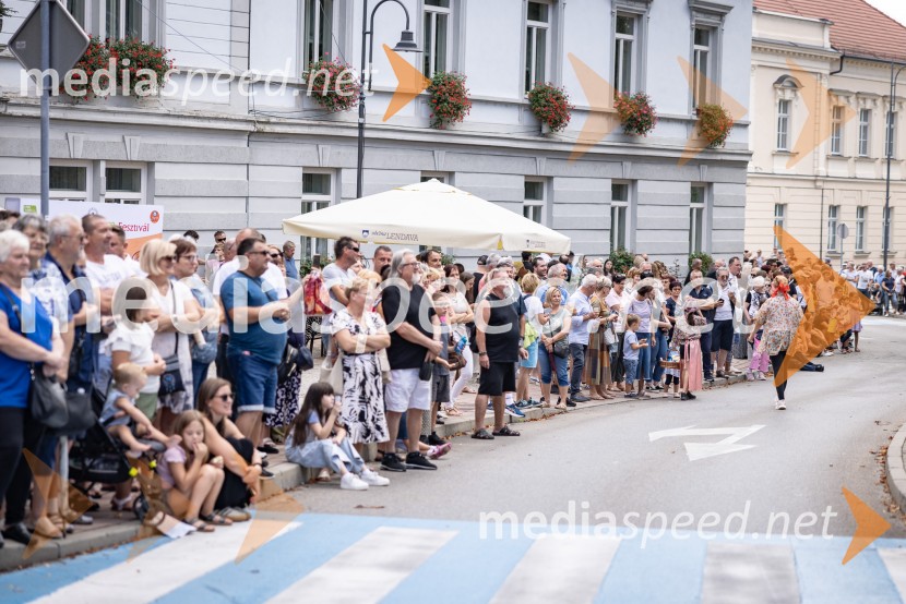 47. Lendavska trgatev, Festival Vinarium