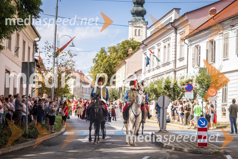 47. Lendavska trgatev, Festival Vinarium