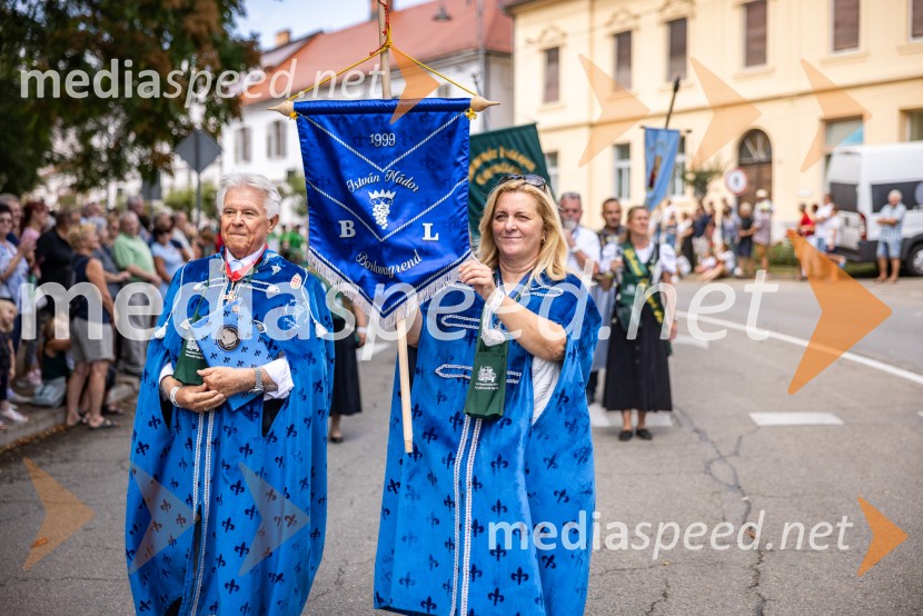 47. Lendavska trgatev, Festival Vinarium