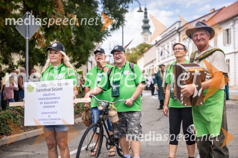 47. Lendavska trgatev, Festival Vinarium