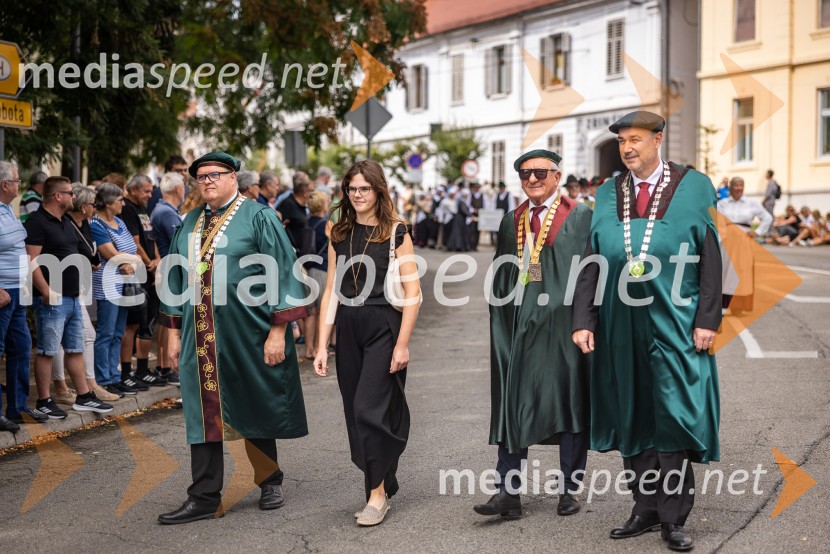 47. Lendavska trgatev, Festival Vinarium