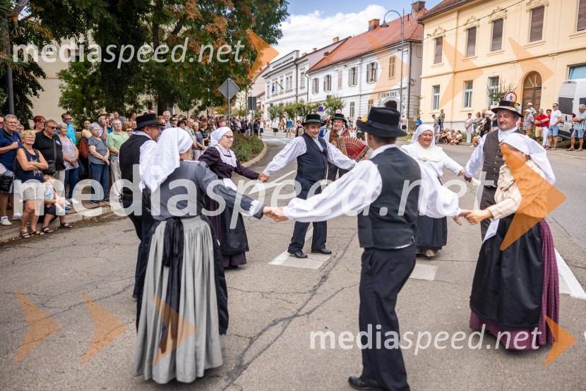 47. Lendavska trgatev, Festival Vinarium