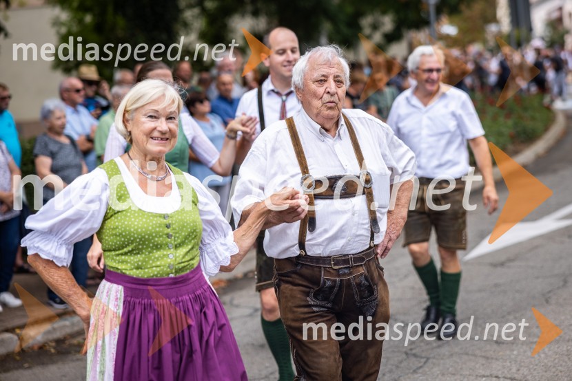47. Lendavska trgatev, Festival Vinarium