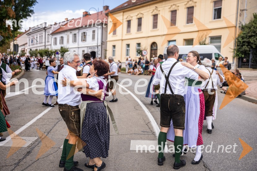 47. Lendavska trgatev, Festival Vinarium