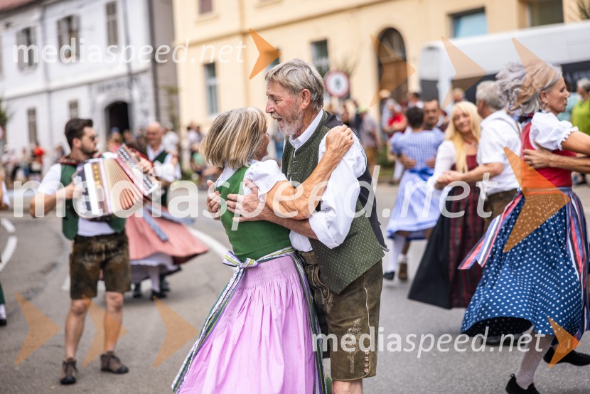 47. Lendavska trgatev, Festival Vinarium