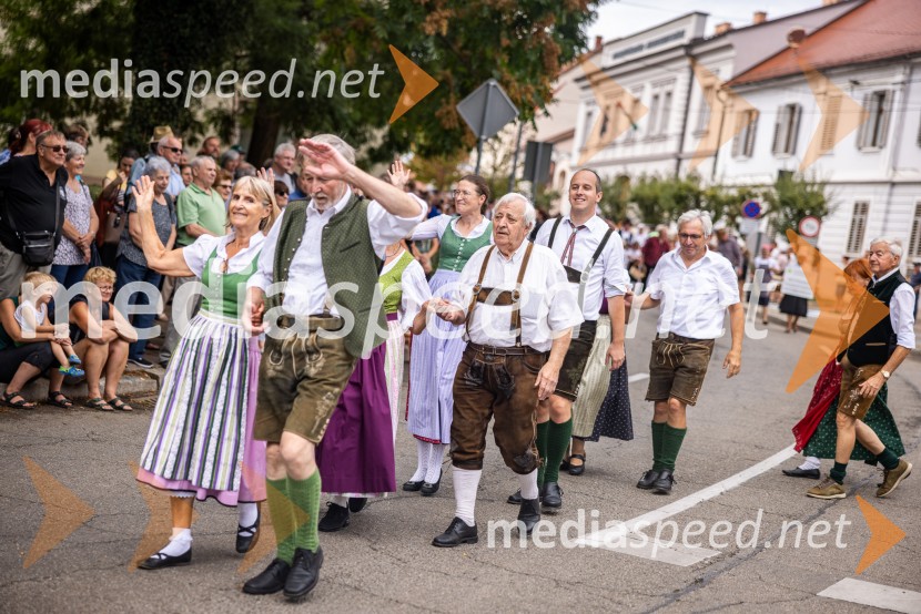 47. Lendavska trgatev, Festival Vinarium
