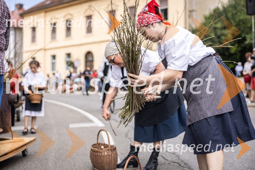 47. Lendavska trgatev, Festival Vinarium