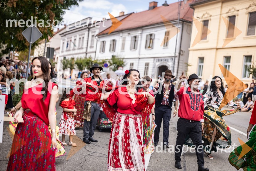 47. Lendavska trgatev, Festival Vinarium