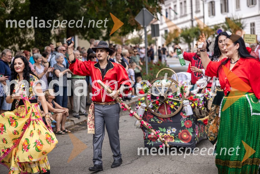 47. Lendavska trgatev, Festival Vinarium