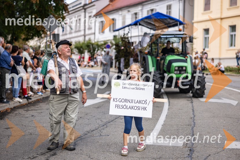 47. Lendavska trgatev, Festival Vinarium