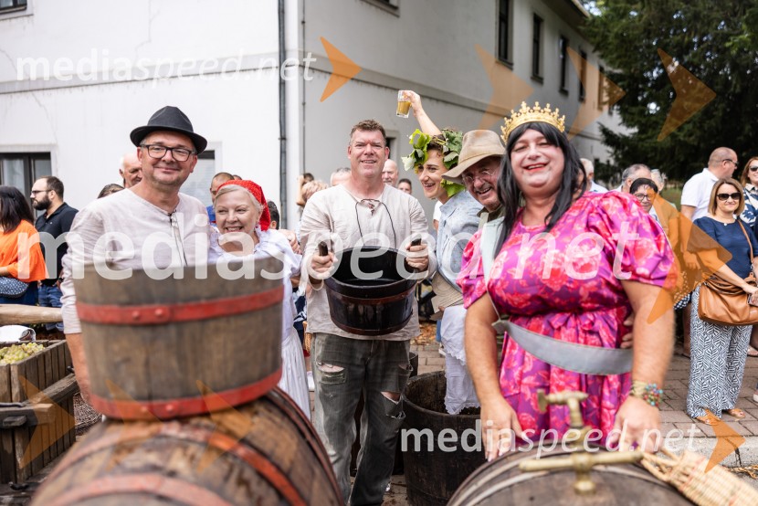 47. Lendavska trgatev, Festival Vinarium
