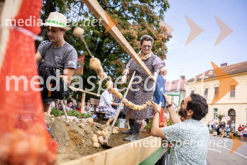 47. Lendavska trgatev, Festival Vinarium