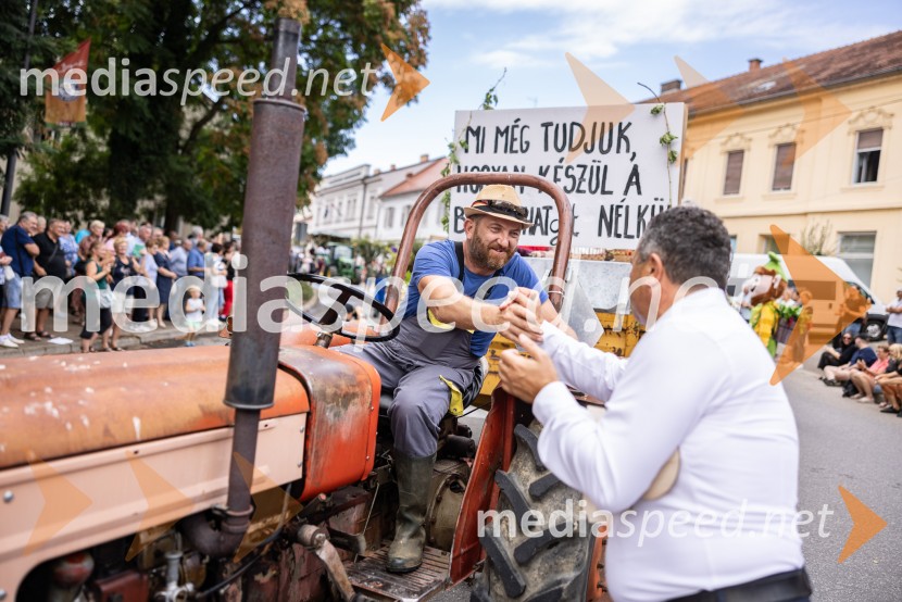 47. Lendavska trgatev, Festival Vinarium